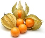 Physalis - on