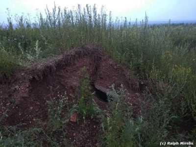 Ochii unui martor ocular al mănăstirii 