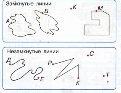 Internetes lecke a matematikáról 