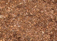 A talajtakaró használatával a talajtakarás hátrányai
