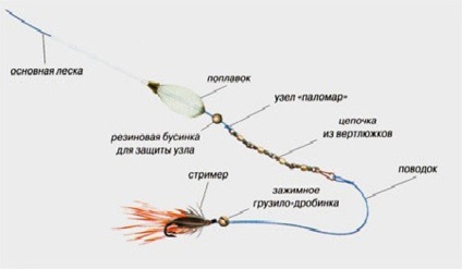 Din ceea ce consta într-o abordare a unui prădător, se ocupă de o specie de ciuperci și de modalități de prindere