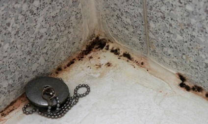 Cum să scapi de mucegai și ciuperci negre în baie - sfaturi practice
