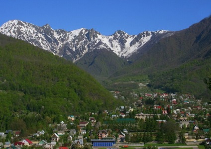 Când am mers și ce am văzut în poiana roșie