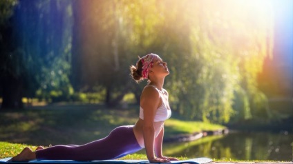 Cum să distingi adevărata yoga de gimnastica yoghină, domeniul culturii