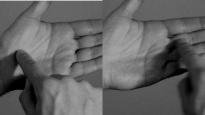 Cum să citești brațele de gesturi italiene