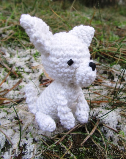 Hogyan kötött egy kutyát egy horgolt amigurumi chihuahua-val?