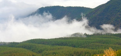 Clima din Tenerife, climatul insulelor Canare