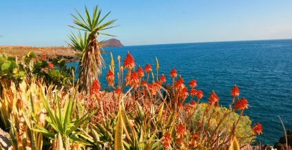 Clima din Tenerife, climatul insulelor Canare