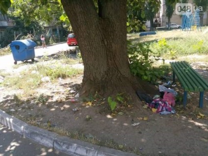 În cazul în care ștergătoarele de pe kotovskoy au dispărut (foto)