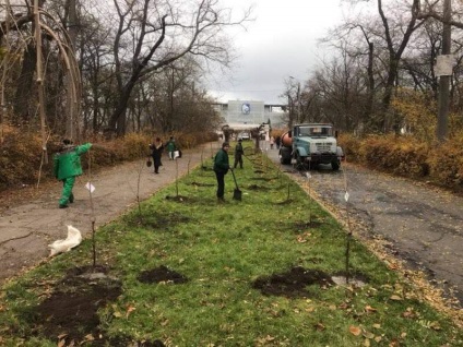 În cazul în care ștergătoarele de pe kotovskoy au dispărut (foto)