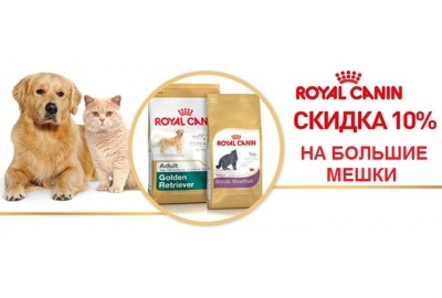 Vegyél royal canin (királyi kutya) vese diétát a macskák krónikus veseelégtelenség