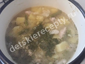 Csirke leves zöldségfélék számára, gyerek receptek