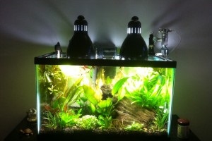 Lampa pentru plante de acvariu