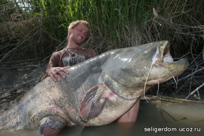 Legends a or was Lake Seliger are propria legendă frumoasă - povestiri, articole - un catalog de articole -