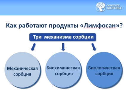 Лімфатична система організму - страж імунітету