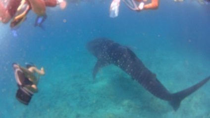 Cel mai bun mod de a vizita ieftin Maldive este de unul singur