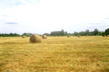 Nu locuiți pe hartă