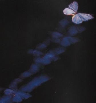 Mike oldfield - album de platină albastră