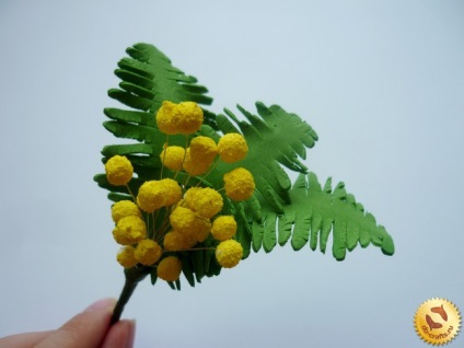 Mimosa a Foamiran mesterkurzus saját kezével, leírás fénykép