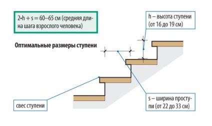 Înălțimea minimă a pasului, calculul lungimii și lățimii treptelor