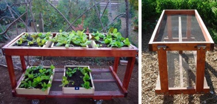 Paturi mobile de grădină și beneficiile paturilor pe roți