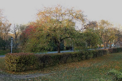 Monument și pătrat de glorie, bulevardul de arme, capela în numele Sfântului Gheorghe Victorii