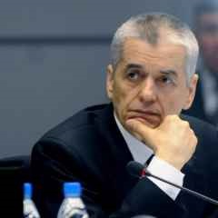 Moscova, știri, onishchenko a propus să adormi câini care nu sunt luați de la adăposturi