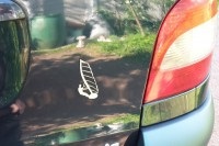 Autocolant pe silueta auto a unei mașini de pisică vinil - mat, lucios, reflectorizant, magnetic,