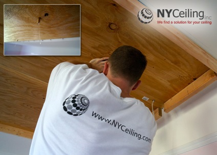 Nyceiling inc