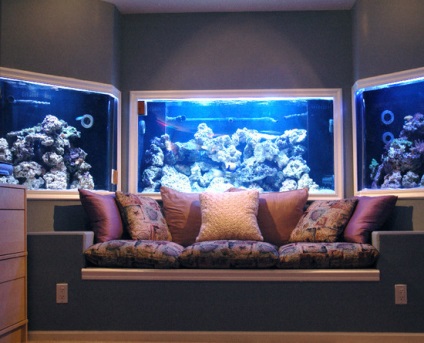 Decorăm interiorul cu un acvariu în peretele dintre camere - idei de fotografie