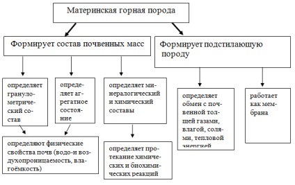 Principalii factori de formare a solului