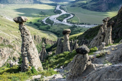 Se odihnește pe altai de munte