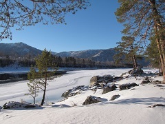 Se odihnește pe altai de munte