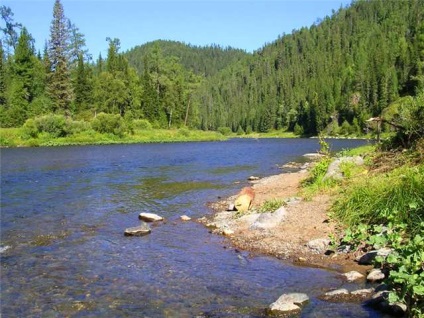 Lacul de mesteacan hakasiya lacuri de pescuit de Khakassia