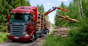 Transportul pădurilor