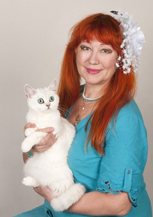 Kennel Katangar - pisici și pisici britanice pisică scoțiană