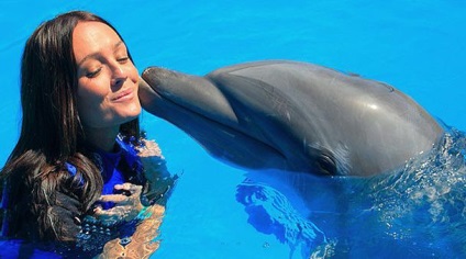 Inotati intr-un vis cu un delfin