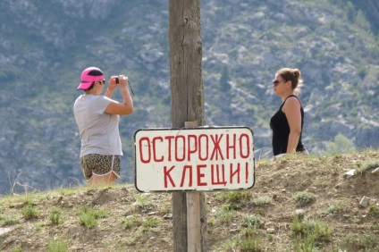 În Altai de sălbatic