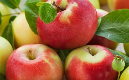 Beneficiile merelor pentru sănătate, tineret și scăderea în greutate