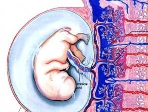 Cauzele și diagnosticul de infertilitate patologică