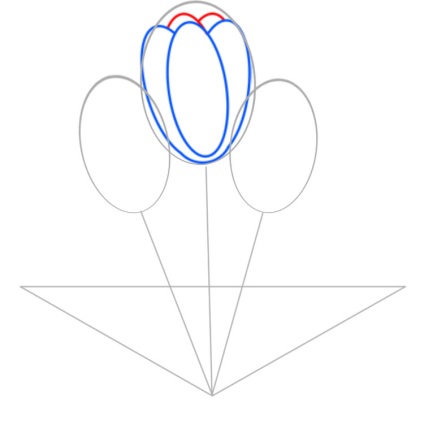 Un exemplu pentru începători este cum să desenezi o lalea