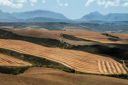 Resursele naturale ale Africii, natura lumii