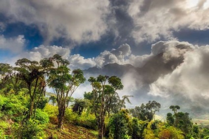 Resursele naturale ale Africii, natura lumii