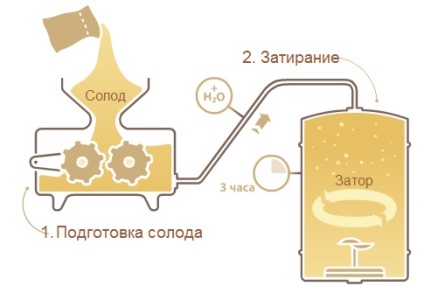 Procesul de producere a berii