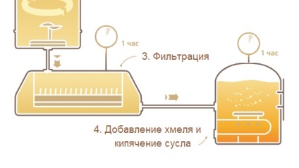 Procesul de producere a berii