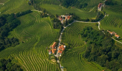 Ptuj, mă simt în Slovenia