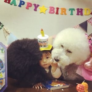 Poodle și cu mine suntem cei mai buni prieteni! Această mică fată japoneză și animalul ei de companie au cucerit utilizatorii rețelei