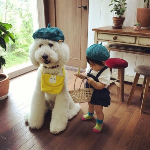 Poodle și cu mine suntem cei mai buni prieteni! Această mică fată japoneză și animalul ei de companie au cucerit utilizatorii rețelei