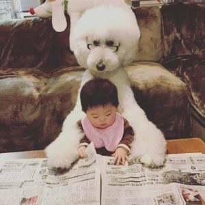 Poodle és én a legjobb barátok! Ez a kis japán lány és kedvence meghódította a hálózati felhasználókat