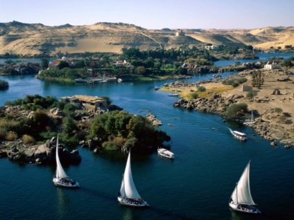 A Nílus folyójának növények és állatok leírása, a Nílus természetének fényképe
